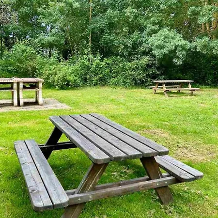 Camping Mobil-home Accueillant Animaux - 8 Pers. - Api-1-52-2431 *
